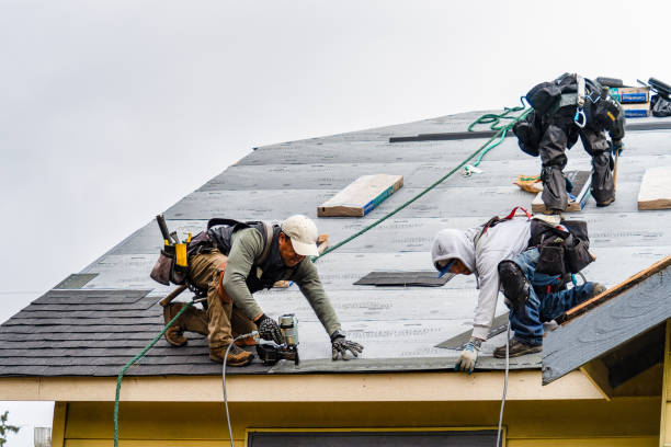 Professional Metal Roofing technician working in Lomax, IL